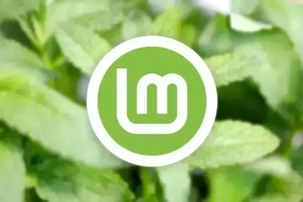 Novas Ferramentas de Hardware no Linux Mint 22.3
