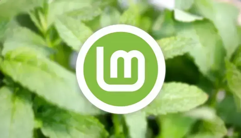 Novas Ferramentas de Hardware no Linux Mint 22.3 1 Novas Ferramentas de Hardware no Linux Mint 22.3