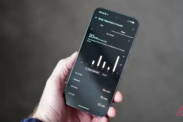 Problema no registro de alimentos do Fitbit afeta usuários em todo o mundo