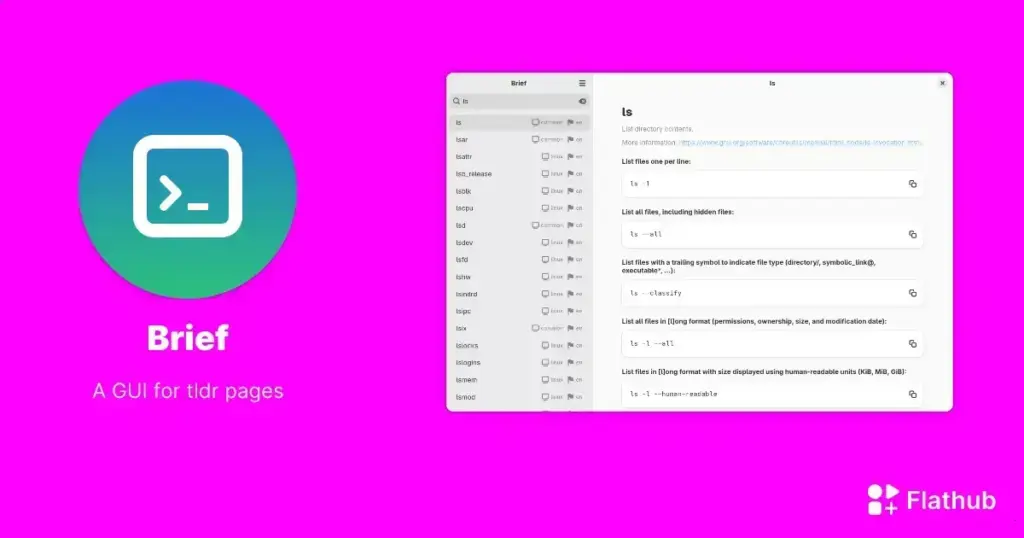 Brief: Navegue pelas páginas tldr de forma prática no Linux com GTK4