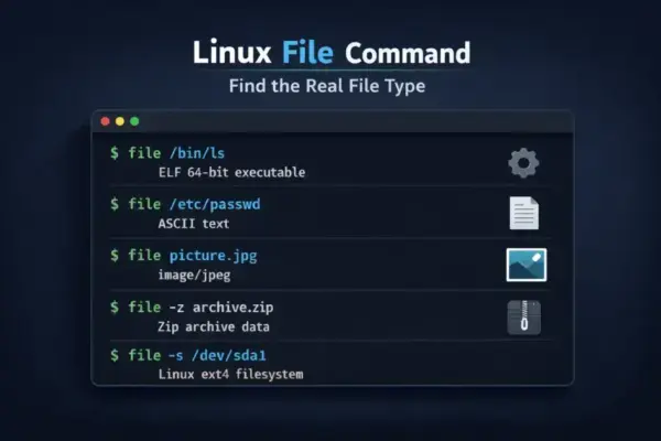 Entenda o comando file no Linux e descubra o tipo real de arquivos rapidamente