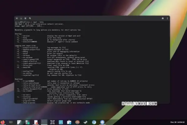 GNU Wget 2.2.1 traz novas opções e melhorias significativas