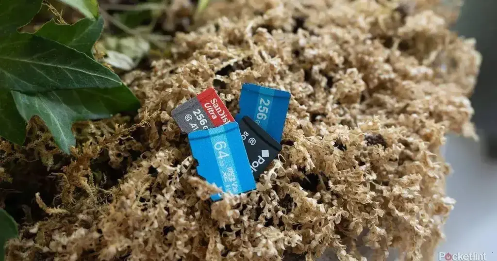 O retorno do microSD: smartphones podem reverter a tendência de armazenamento
