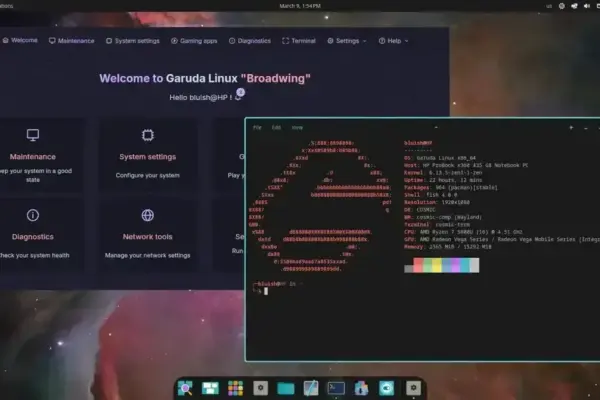 Segurança em distribuições Linux pouco populares: riscos e mitos revelados