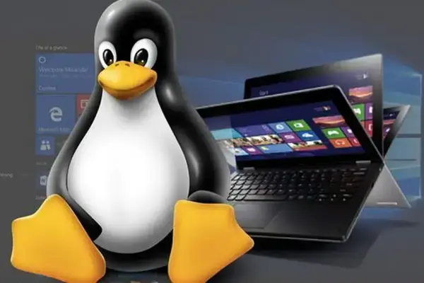 Linux Gaming: O Crescimento da Plataforma no Steam