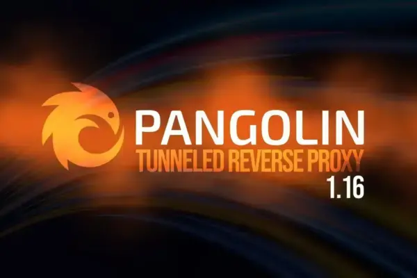 Pangolin 1.16: Proxy Reverso com Novos Recursos de Autenticação SSH