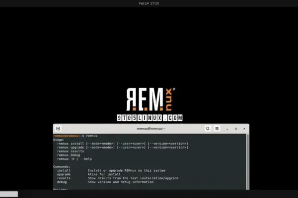 REMnux 8: A revolução na análise de malwares com IA e Ubuntu 24.04