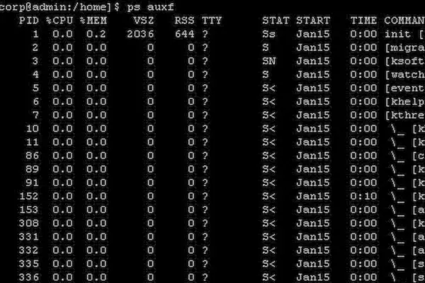 Comandos ps no Linux: exemplos práticos para gerenciar seus processos