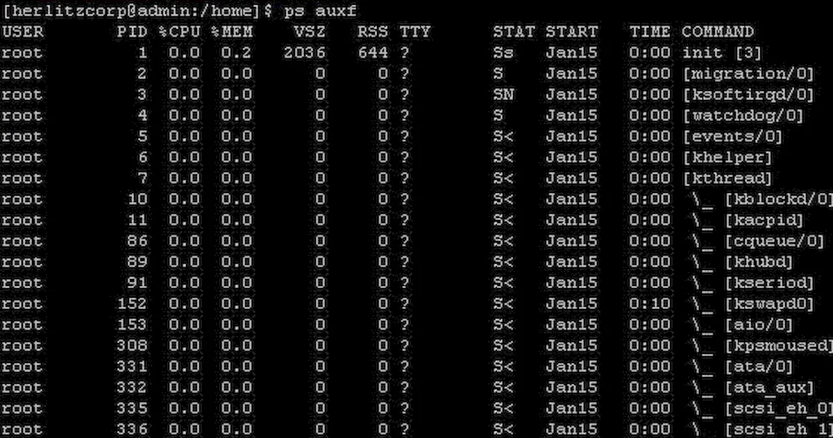 Comandos ps no Linux: exemplos práticos para gerenciar seus processos 1 Comandos ps no Linux: exemplos práticos para gerenciar seus processos