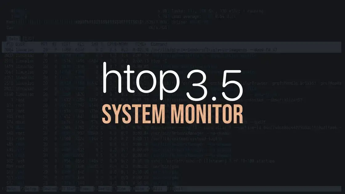 htop 3.5: Novo Monitor de Sistema com Recursos Avançados 1 htop 3.5: Novo Monitor de Sistema com Recursos Avançados