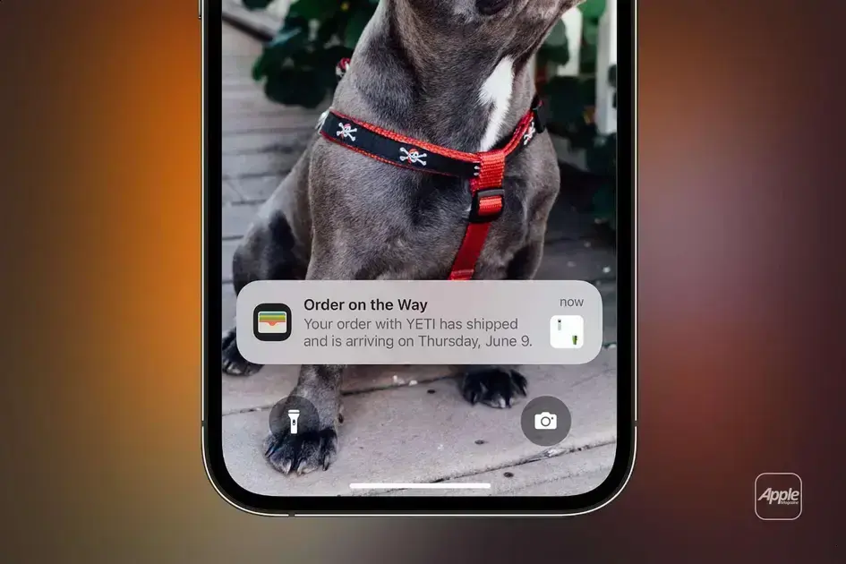 Apple Wallet Orders: Como acompanhar suas compras online com facilidade 1 Apple Wallet Orders: Como acompanhar suas compras online com facilidade
