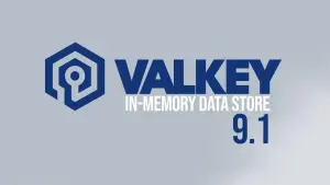 Valkey 9.1 amplia segurança e performance com ACLs por banco e mais recursos