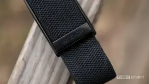 FDA aprova sistema alterado de pressão arterial do wearable Whoop MG