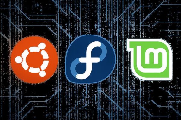 Ubuntu, Fedora ou Linux Mint? A disputa está mais interessante do que nunca