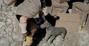 Atualização 1.13.00 do Crimson Desert traz roupas, pets e ajustes essenciais