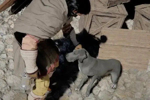 Atualização 1.13.00 do Crimson Desert traz roupas, pets e ajustes essenciais