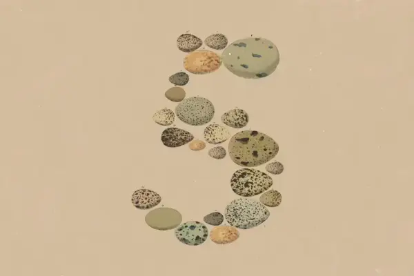 Claude Opus 5: nova IA da Anthropic promete alta performance e custo reduzido