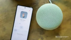 Google lança correção rápida para problemas no setup do Home Speaker