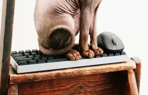 Wallhack lança teclado gamer K-001 e mouse M-001 com recursos inéditos