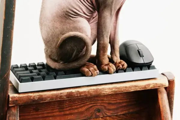 Wallhack lança teclado gamer K-001 e mouse M-001 com recursos inéditos