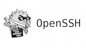 Como instalar o OpenSSH no Linux e acessar seu computador remotamente