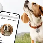Life360 lança novas ferramentas para cuidar melhor do seu pet e evitar confusões