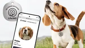 Life360 lança novas ferramentas para cuidar melhor do seu pet e evitar confusões