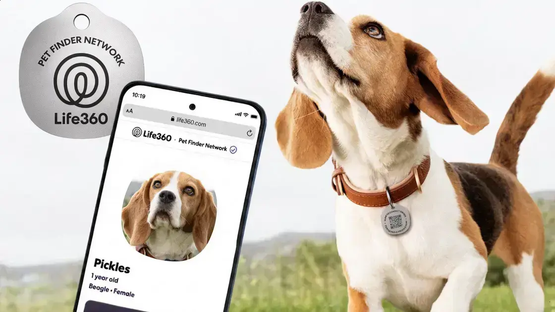 Life360 lança novas ferramentas para cuidar melhor do seu pet e evitar confusões