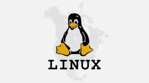 Linux ultrapassa 10% de participação no mercado de desktops na América do Norte