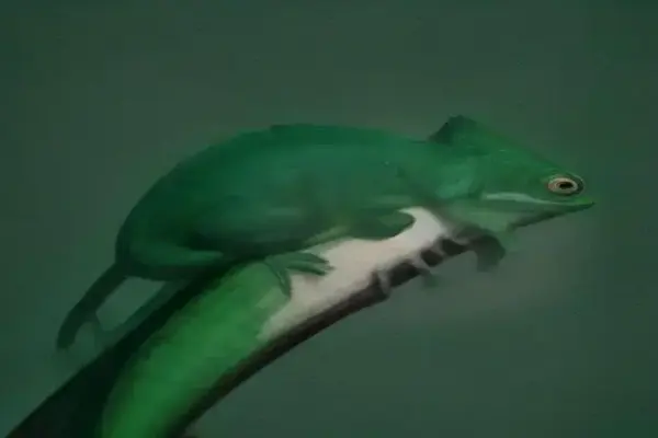 Conheça o osdiff: a nova ferramenta da openSUSE para comparação de pacotes
