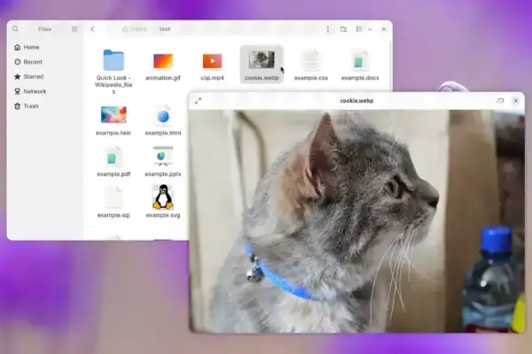 GNOME Sushi ganha port para GTK4 com recursos aprimorados no GNOME 51