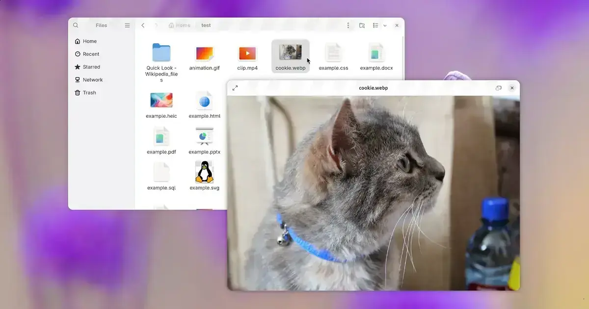GNOME Sushi ganha port para GTK4 com recursos aprimorados no GNOME 51