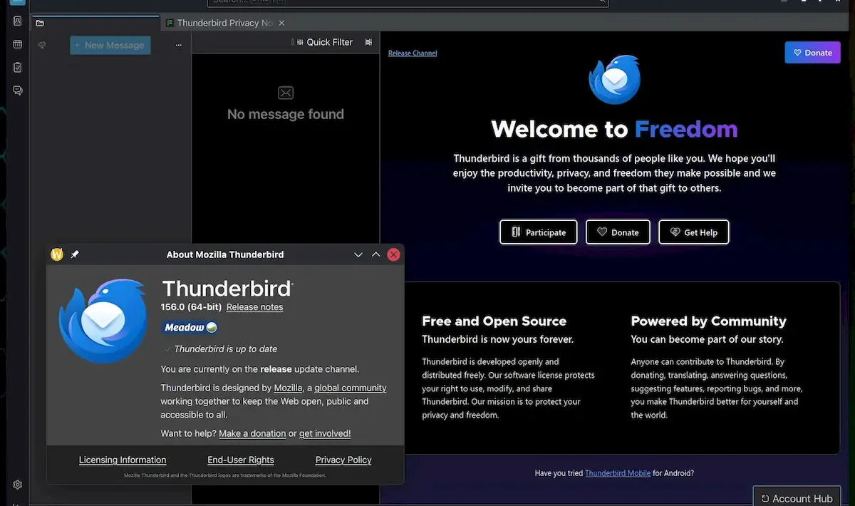 Thunderbird 156 chega com OAuth personalizado para POP3 e várias correções no Linux